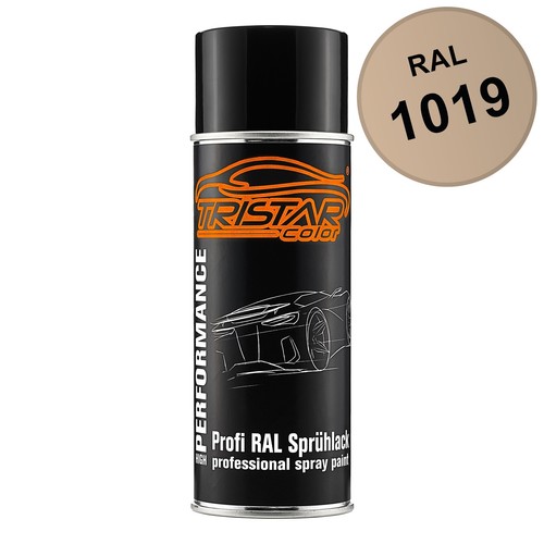 Ral 1019 graubeige spraydose - 1019,