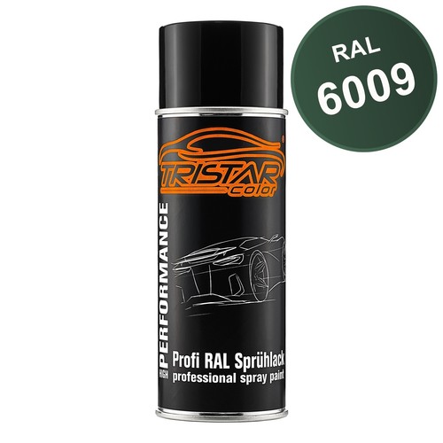 Ral 6009 tannengrün - 6009,