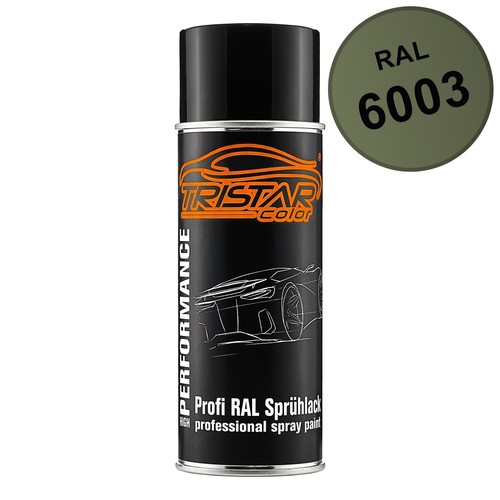 Ral 6003 olivgrün spraydose - ral,